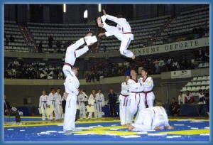 fotostaekwondo21.jpg