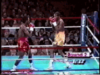 boxingvideopic.gif