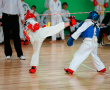 ist1_3276320_taekwando.jpg